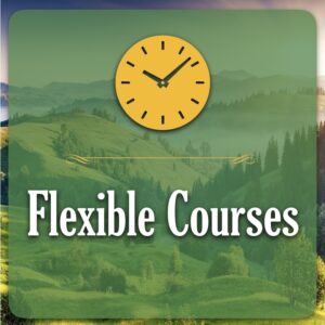 Flexible Courses